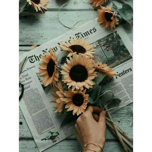 Meet your Posher, Cassidy